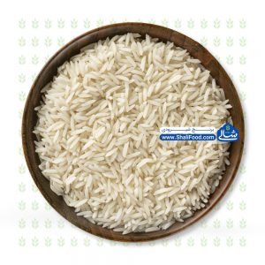 برنج شیرودی شالی