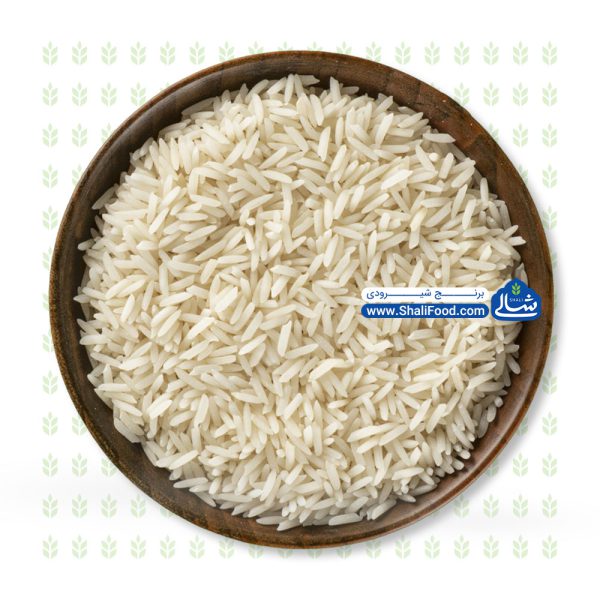 برنج شیرودی شالی