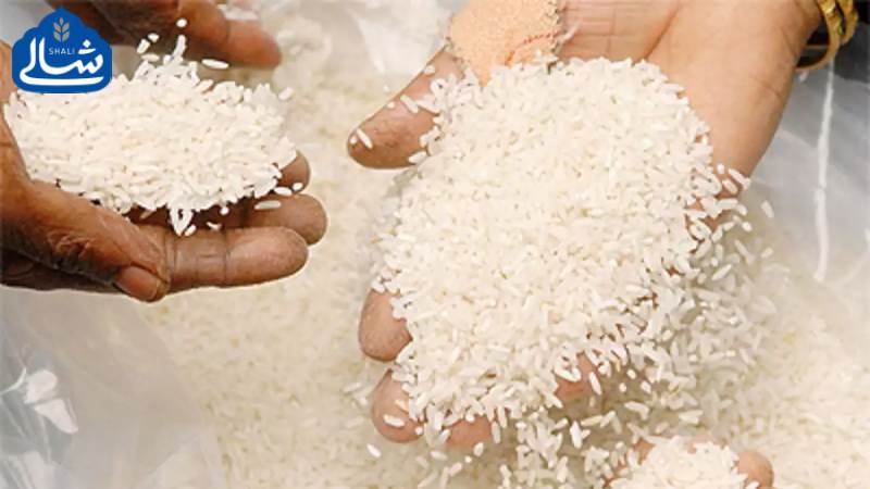 راهنمای کامل خرید برنج ایرانی