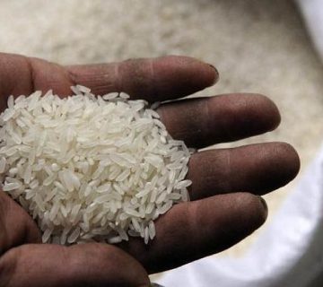 راهنمای خرید برنج ایرانی